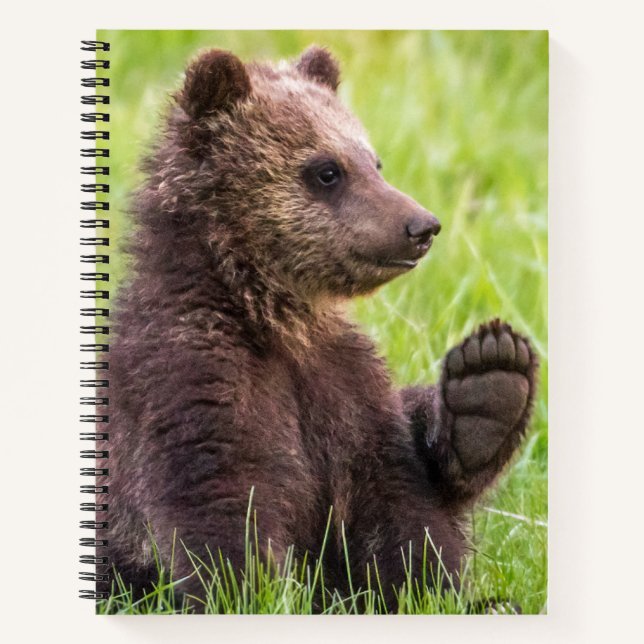 Cuaderno Animales de bebé más afectados | Ola de Oso Marrón (Anverso)