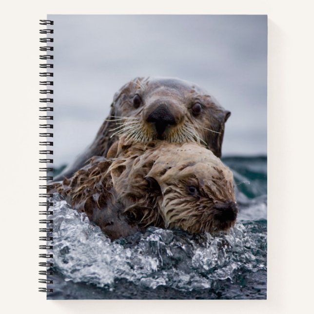 Cuaderno Animales de bebé más afectados | Otter Baby & Moth (Anverso)