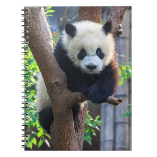 Cuaderno Animales de bebé más afectados   Panda Cub gigante