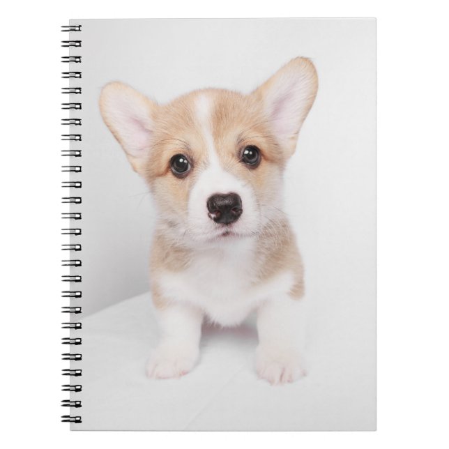 Cuaderno Animales de bebé más afectados | Pequeño Corgi (Frente)