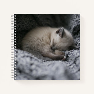 Cuaderno Animales de bebé más afectados Pequeño Gatito Do