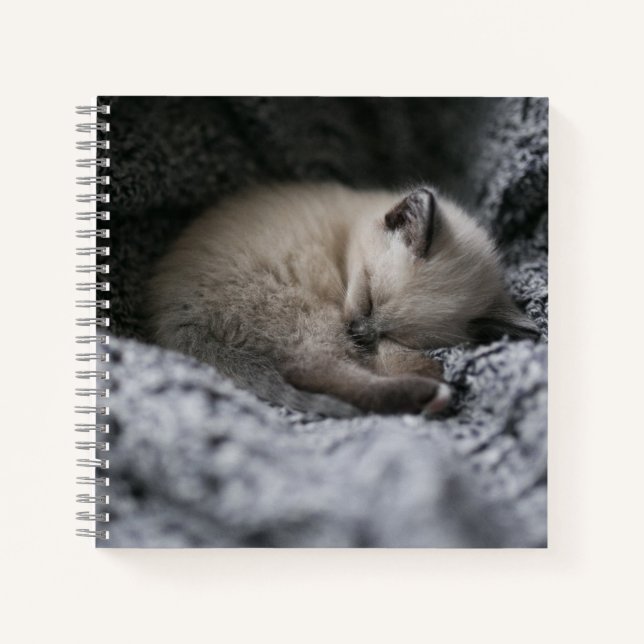 Cuaderno Animales de bebé más afectados | Pequeño Gatito Do (Anverso)