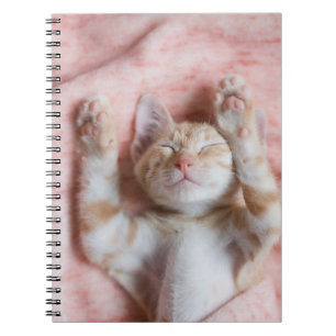 Cuaderno Animales de bebé más afectados   Pequeño Naranja a