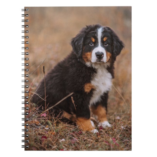 Cuaderno Animales de bebé más afectados | Perro de montaña  (Frente)