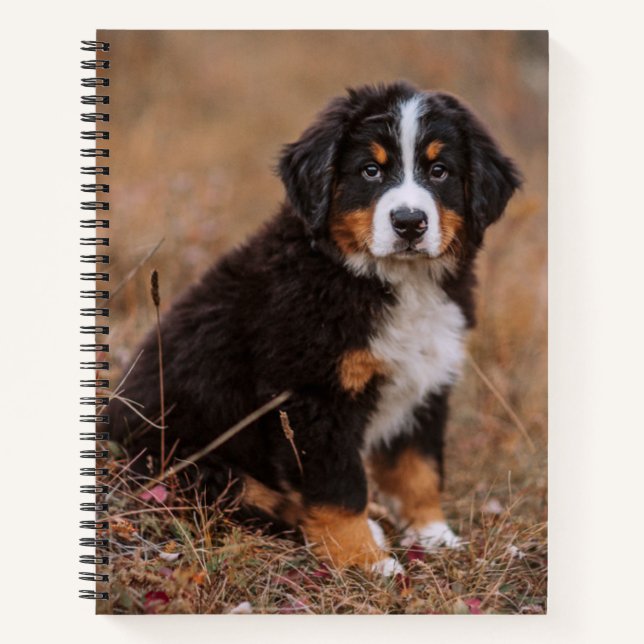 Cuaderno Animales de bebé más afectados | Perro de montaña  (Anverso)