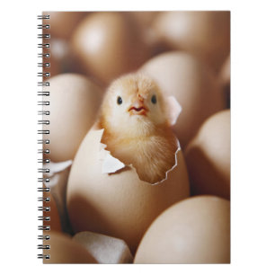 Cuaderno Animales de bebé más afectados Recién nacido Chi