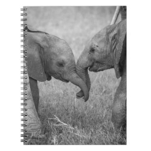 Cuaderno Animales de bebé más afectados   Saludo de los beb
