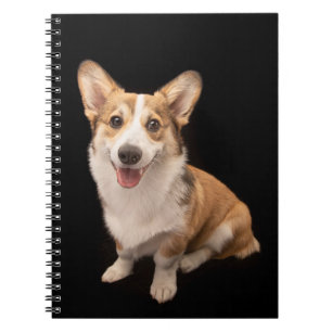 Cuaderno Animales de bebé más afectados Sonrisa de cachor