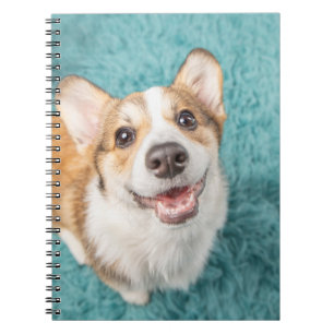 Cuaderno Animales de bebé más afectados   Sonrisa de cachor