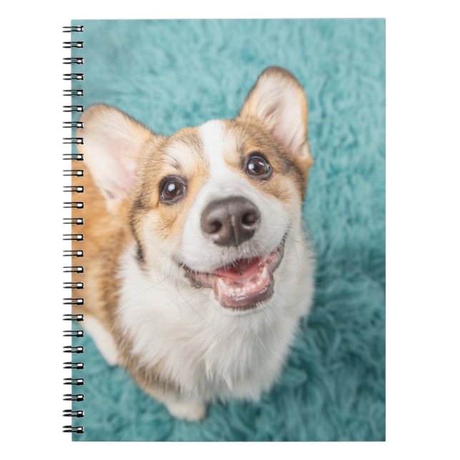 Cuaderno Animales de bebé más afectados | Sonrisa de cachor (Frente)