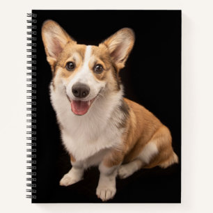 Cuaderno Animales de bebé más afectados   Sonrisa de cachor