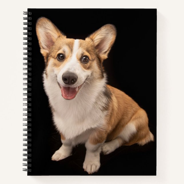 Cuaderno Animales de bebé más afectados | Sonrisa de cachor (Anverso)