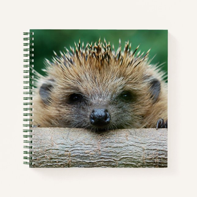 Cuaderno Animales de bebé más afectados | Sonrisa de edgeho (Anverso)