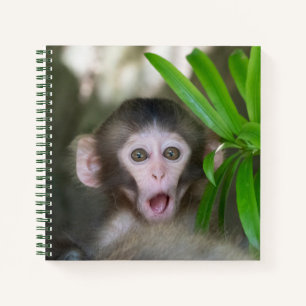 Cuaderno Animales de bebé más afectados   Sorprendido mono