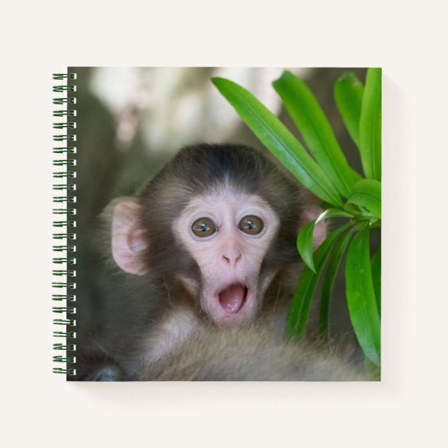 Cuaderno Animales de bebé más afectados | Sorprendido mono  (Anverso)