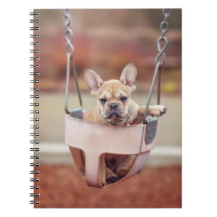 Cuaderno Animales de bebé más afectados   Zona de juegos de