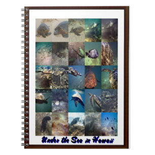 Cuaderno Animales del mar