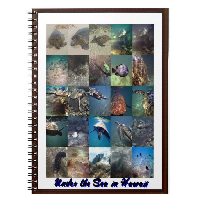 Cuaderno Animales del mar (Frente)