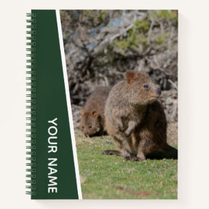 Cuaderno Animales Felices y Tiernos Quokka, Australia, Niño