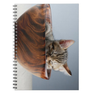 Cuaderno animales, gatos, animales