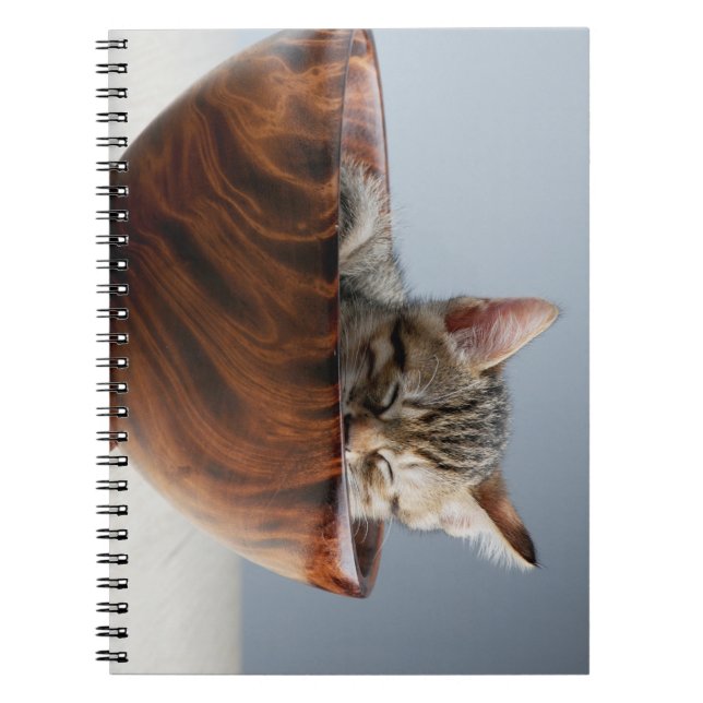 Cuaderno animales, gatos, animales (Frente)