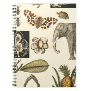Cuaderno Animales variados pintados de fondo crema
