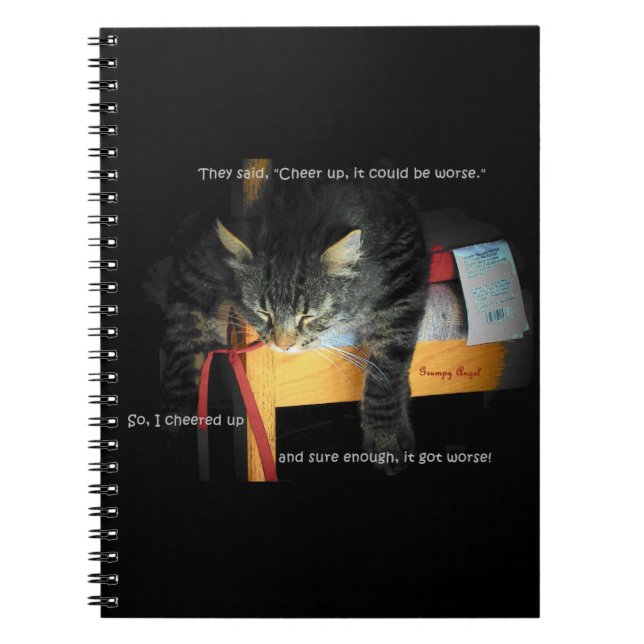 Cuaderno Ánimo Kitty Podría ser peor (Frente)