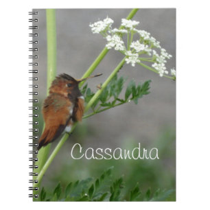 Cuaderno Ann's Lace y bird