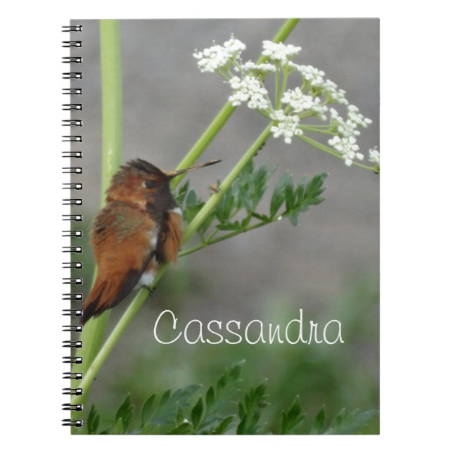 Cuaderno Ann's Lace y bird (Frente)