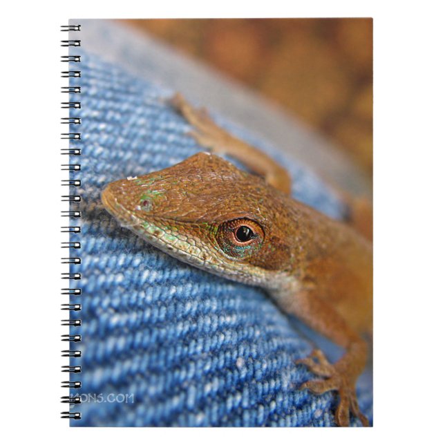 Cuaderno Anole Lizard (Frente)