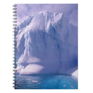 Cuaderno Antártida. Fugas antárticas