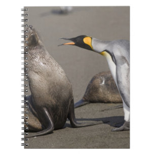 Cuaderno Antártida, Isla Georgia del Sur (RU), Rey 3