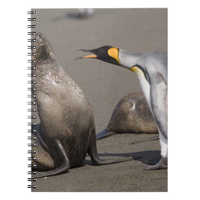 Cuaderno Antártida, Isla Georgia del Sur (RU), Rey 3 (Frente)