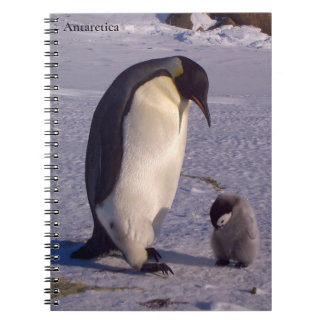 Cuaderno Antártida Madre pingüina caribe bebé