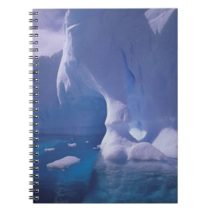 Cuaderno Antártida. Niveles antárticos 3