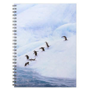 Cuaderno Antártida, Península Antártica. Barbijo