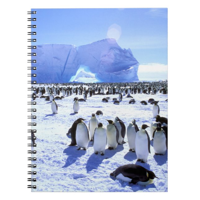 Cuaderno Antártida, Península Antártica, Mar de Weddell, 5 (Frente)