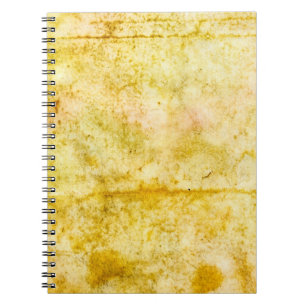 Cuaderno Antecedentes abstractos del antiguo papelobacto, a
