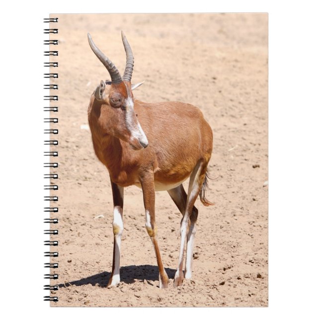 Cuaderno Antelope blesbok (Frente)