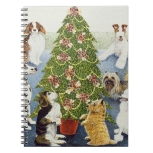 Cuaderno Anticipación