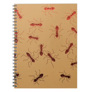 Cuaderno Antics. de la hormiga