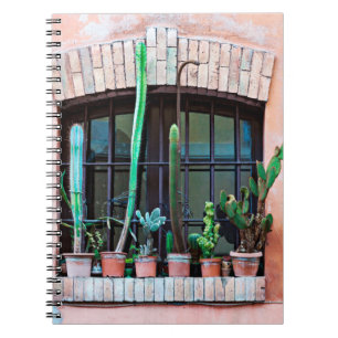 Cuaderno Antigua ventana abandonada con un grupo de flor de