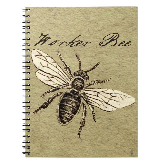 Cuaderno Antigüedad del Ilustracion de los insectos de los  (Frente)
