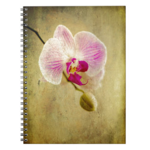Cuaderno Antigüedad envejecida flor floral púrpura de la