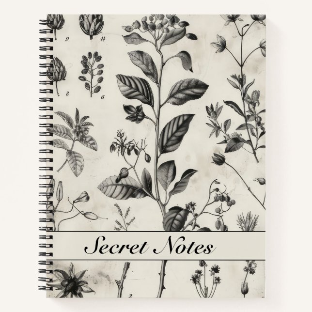 Cuaderno Antiguo Botánico Blanco Negro 2 (Anverso)