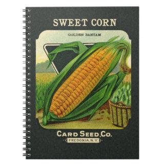 Cuaderno antiguo del espacio en blanco del paquete