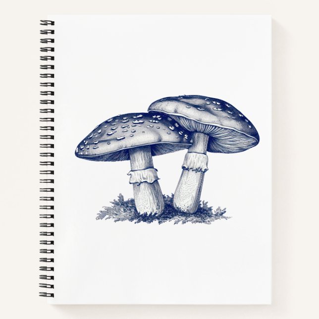 Cuaderno Antiguo dibujo de hongo (Anverso)