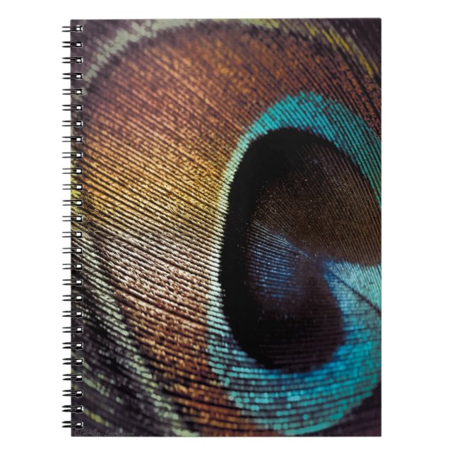 Cuaderno Antiguo Hues Peacock Feather Eye (Frente)