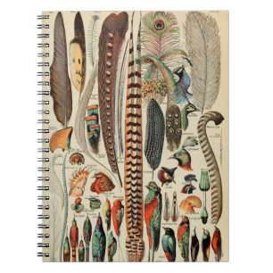 Cuaderno Antique Feather Bird Animal Wild Art 