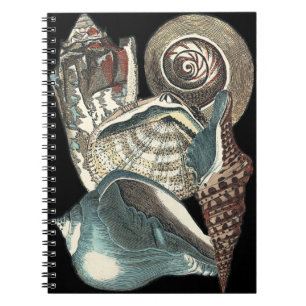 Cuaderno Antología de Seashell